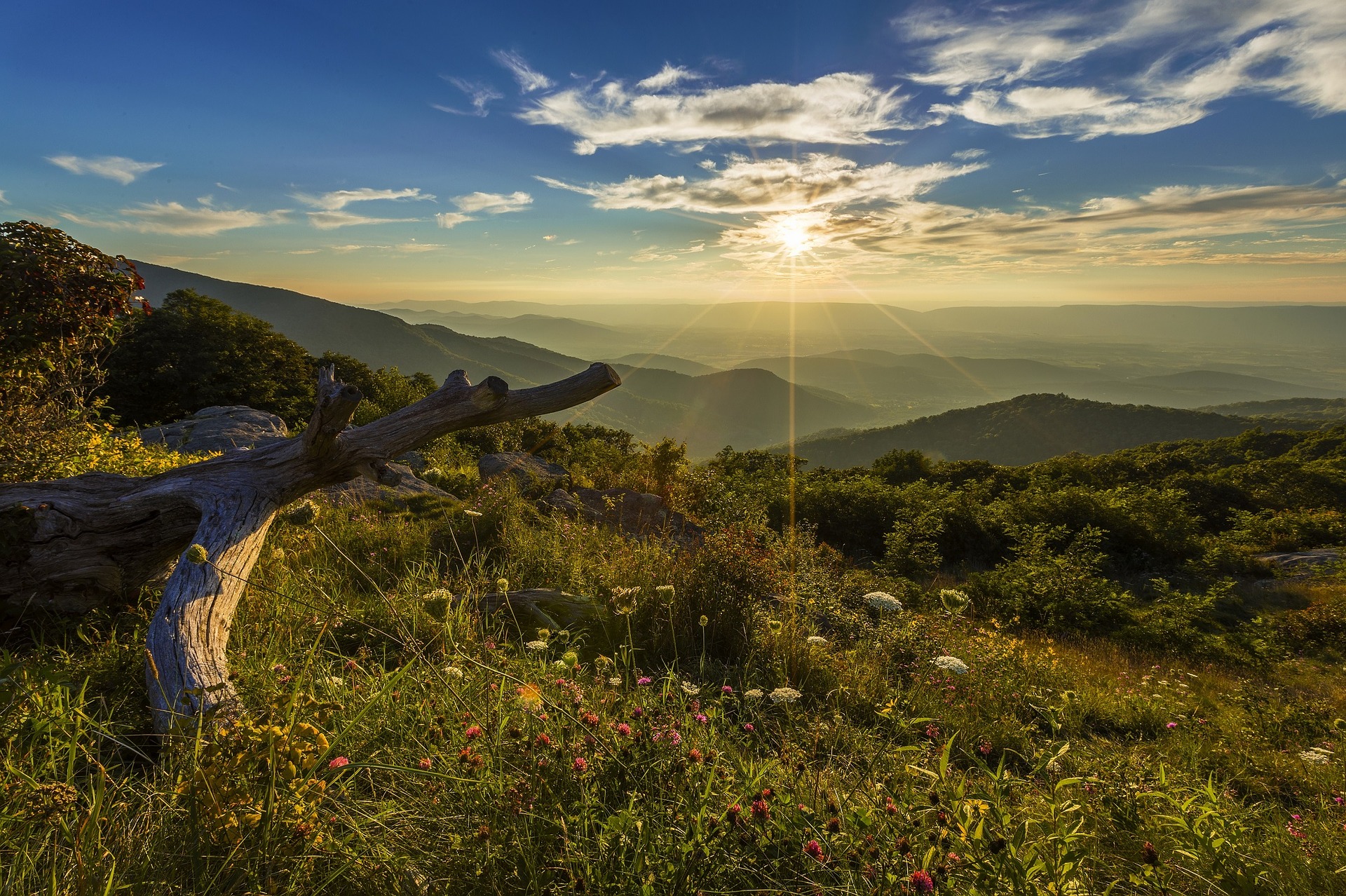 treatment-centers-in-virginia